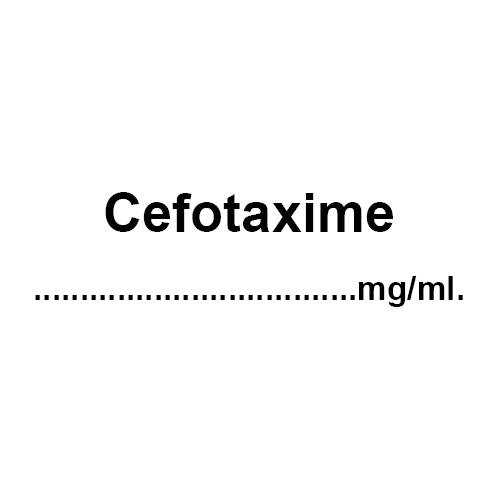 Cefotaxime