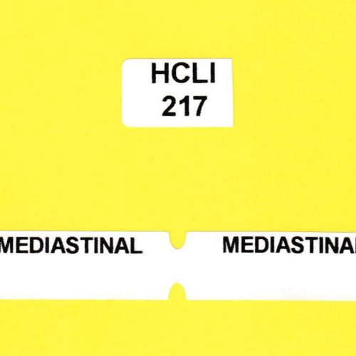 HCLI-217